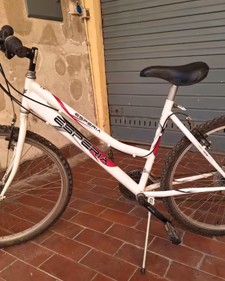 Bicicletta Esperia MTB 26” – 18 velocità Shimano
