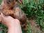 Immagine 14