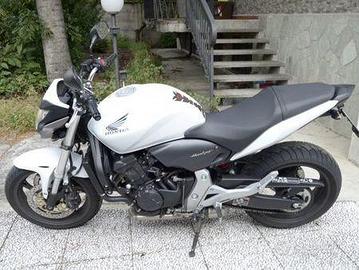 Hornet 600 ricambi hornet 600 2012 cb 600 f