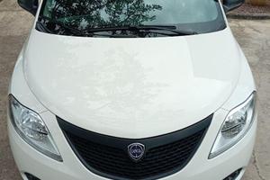 lancia y