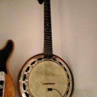 BANJO 6 CORDE MUSIKALIA ED. LIMITATA PALISSANDRO