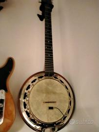 BANJO 6 CORDE MUSIKALIA ED. LIMITATA PALISSANDRO