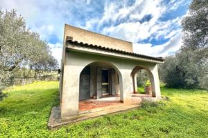 Ulivetto Fabricato e Pozzo Artesiano