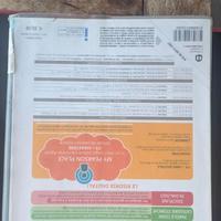 L'IDEA DELLA STORIA 2