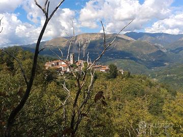 Casa di tipo rustico sulle colline lucchesi