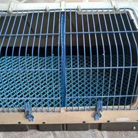 TRASPORTINO CANI DA CACCIA