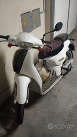 Scarabeo 50 originale