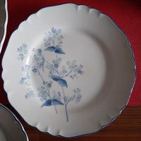 servizio dessert 6 pezzi Richard Ginori fiori blu 