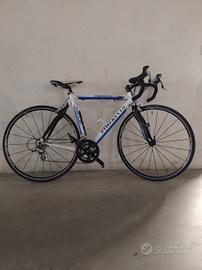 Pinarello Prince SL