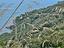 Immagine 21