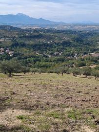 Terreno agricolo Manoppello 