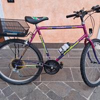 Mountainbike con cestino FREEMOUNT