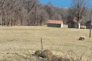 Villette a "Cima Selva" - Stazzona (CO)