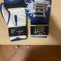 Guantoni box LEONE