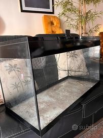 Acquario