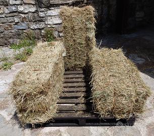 Ballette di fieno primo taglio 2025