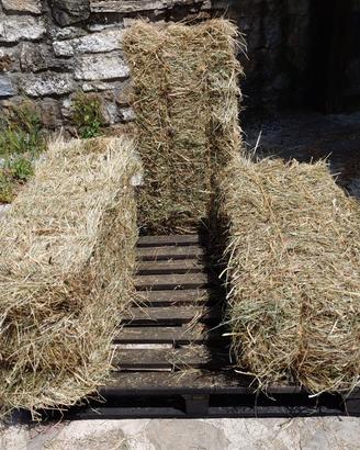 Ballette di fieno primo taglio 2025