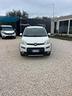 fiat-panda-1-3-multijet-s-s-4x4