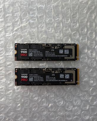 2X NUOVE Samsung 9100 PRO 2TB  + GARANZIA 5 Anni