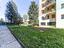 Immagine 25