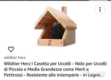 Casetta per uccelli/merli