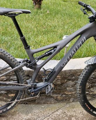 Stumpjumper carbonio specialized mtb 29 shimano 12