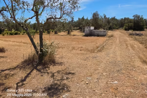 Terreno agricolo