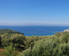 Vacanze relax a Marina di Camerota