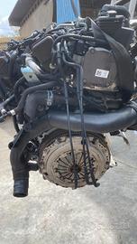 MOTORE POLO