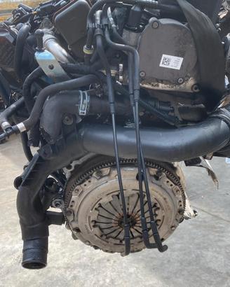 MOTORE POLO