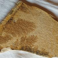 Dendriti di Manganese su lastra (Toscana)