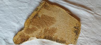 Dendriti di Manganese su lastra (Toscana)