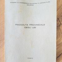 Raccolta provinciale degli usi, 1965