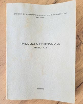 Raccolta provinciale degli usi, 1965