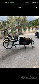 Bici elettrica cargo irena