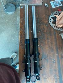 Forcelle ceriani 43mm