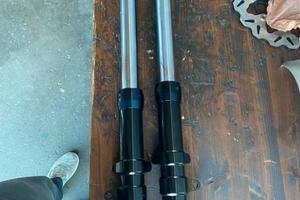 Forcelle ceriani 43mm