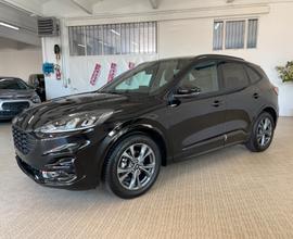Ford Kuga 2.0 EcoBlue 120 CV aut. 2WD ST-Line