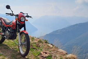 beta alp 