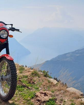 beta alp 