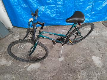 Bicicletta Mountain Bike 26" California