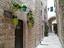 Immagine 6