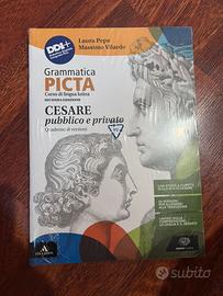 Grammatica Picta
