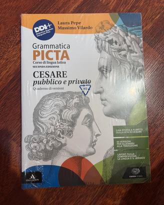 Grammatica Picta