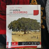 All’ombra del sicomoro