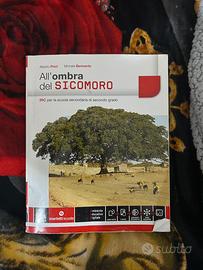 All’ombra del sicomoro