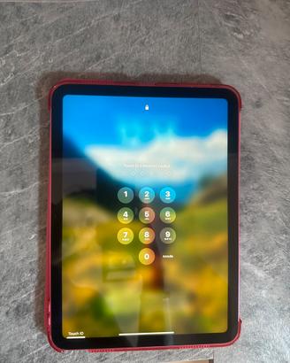 I pad 10 genarazione 256 gb