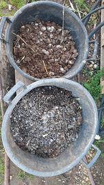 concime naturale azoto animale galline conigli