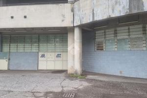 CAPANNONE A RONCADELLE