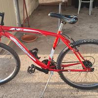 Bici mountain-bike ruote 26